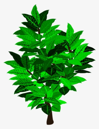 Leaf Tree Shrub Branch Plant Stem - Illustration #9518122