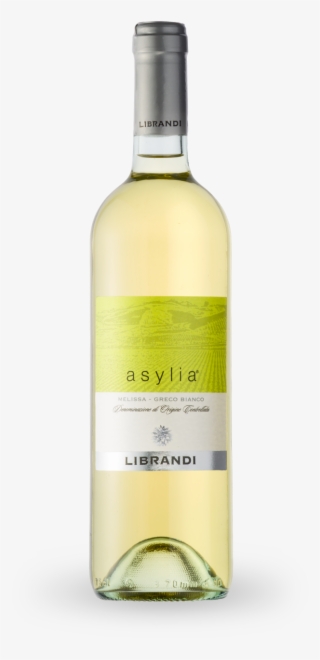 Asylia Bianco - Vini Bianchi Calabresi #9519062