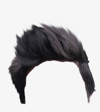 Cb Hair Png Picsart City Manipulation Background - American Crow #9521292