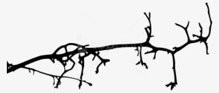 Free Png Simple Tree Branch Png - Branch #9521295