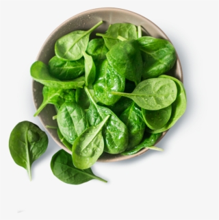 Spinach #9521868
