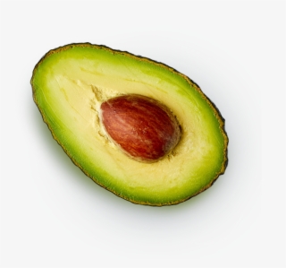 Avocado #9521915