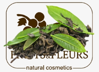 چای سبز و سرطان #9521998