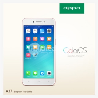 Oppo R9 Rose Gold Price #9522029