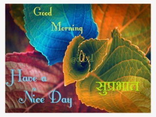 Good Morning Messages In Hindi #9522153