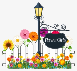 African Daisy #9522469