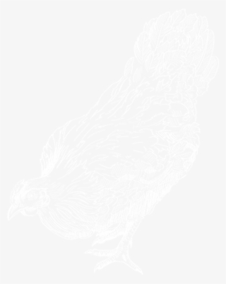 Chicken - Usgs Logo White #9524801