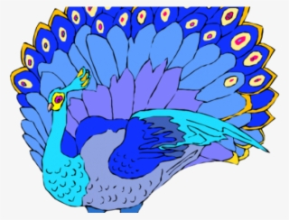 Peacock Clipart Summer - Turkey #9524826