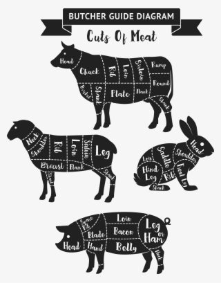 Tom's Live Market Provides Omaha, Ne And Surrounding - Meat Diagram #9524830