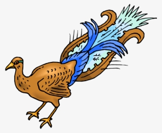 Peacock Clipart Female Peacock - Cartoon Peacock #9524860 Peacock Clipart Female Peacock - Cartoon Peacock #9524860