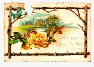 Yellow Rose Clip Art - Garden Roses #9525154