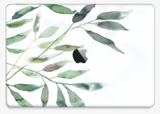 Ramas De Olivo - Illustration #9525738