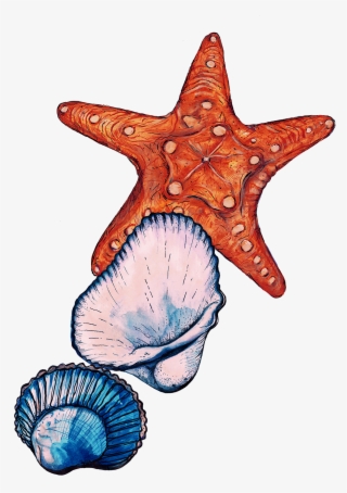 Sign Up To Join The Conversation - Starfish #9526162