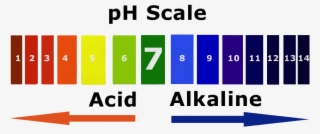 Alkaline Water Is Water With A Ph Level Greater Than - Level Ph Water Png #9527353
