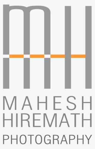 Teal Triggs #9528236