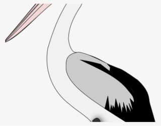 Pelican Png Transparent Images - Sketch #9528240