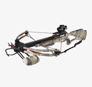 Xb-400 - Compound Bow #9528284