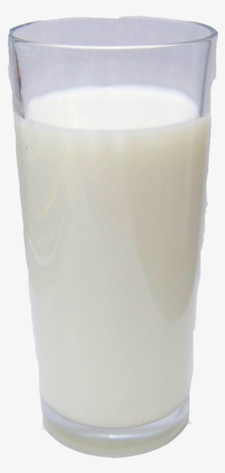 Stallionmatter Publish With Glogster Png Milk Transparent - Batida #9528593