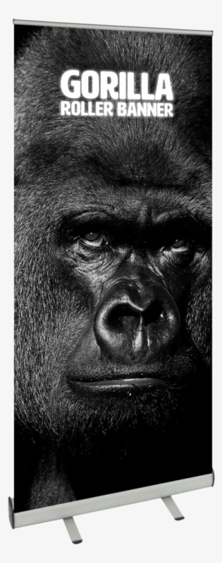 Gorilla Roller Banner - Monkey #9528792