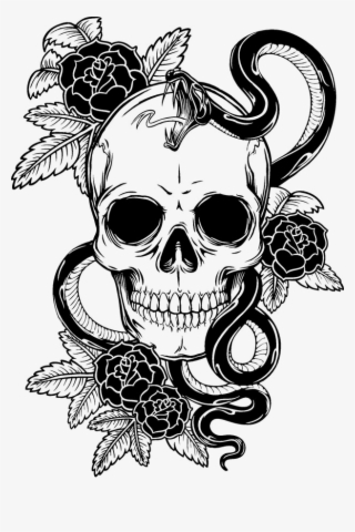 Symbolism Tattoo Venom Skull Human Free Hq Image Clipart #9529652