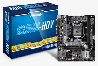 Computer Bargains Malta Asrock B250m-hdv Motherboard - Motherboard Asrock B250m Hdv #9530006