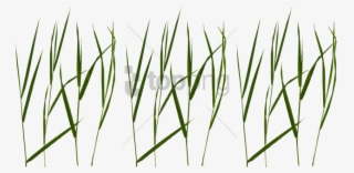 Free Png Grass Blade Texture Png Image With Transparent - Portable Network Graphics #9530698
