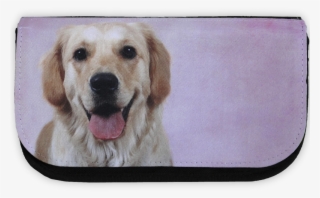 Golden Retriever, Pencil Case - Labrador Retriever #9531129