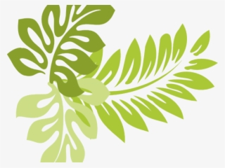 Tropics Clipart Jungle Leaves - Hibiscus Clip Art #9531228