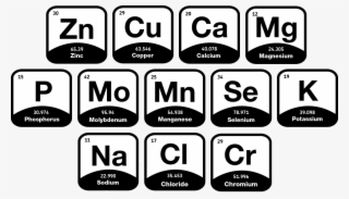 Hydration Impacts How Your Body Regulates Temperature, #9531229