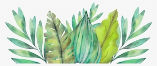 Leaf Amazon Rainforest Watercolor Painting Arecaceae - Motivational Watercolor Quotes #9531286