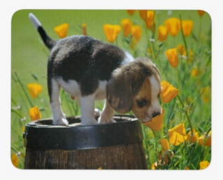Puppy And Flowers Mousepad - Puppy In The Garden #9534382