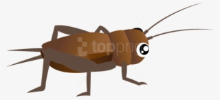 Free Png Download Cricket Insect Clipart Png Images - Cricket Insect Clipart Free #9536026