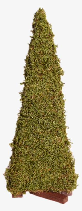 Christmas Tree #9537446