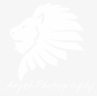 Aryeh Photography - Boxinlion Black And White Feat Mj Ultra #9537943