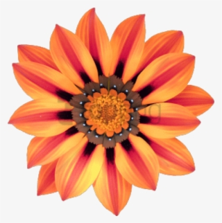 Free Png Download Transparent Flower Tumblr Png Images - Triangle Flower #9538591