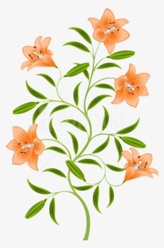 Free Png Orange Lily Png Images Transparent - Transparent Orange Lily #9539197