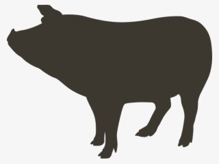 Pig - Cattle #9539334