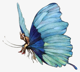 Fairy Tails At Charcon Confluence Meta Rpg - Swallowtail Butterfly #9540098