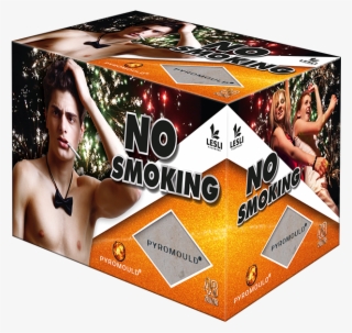 No-smoking ] - Flyer #9541055