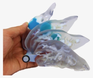 Liver - Fish #9541191