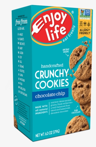 Enjoy Life Chocolate Chips #9542521