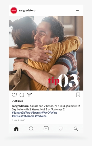 Sangre De Toro, The Spanish Way Of Wine - Hug #9542946