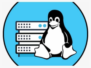 Linux Hosting Clipart Hosting Png - Linux Icono Png #9543552