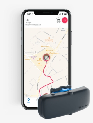 Slide 4 Of - Iphone #9543940