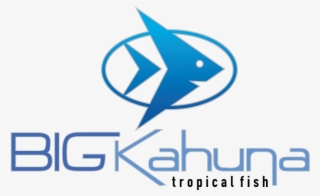 Graphic Design #9544003