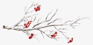 Free Png Winter Branch Png - Winter Branch Clipart #9544393