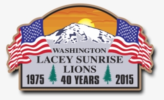 Lacey Lions Lapel Pin - Us Flag #9548187