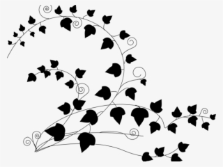 Drawn Vine Poison Ivy Vine - Clip Art #9548544