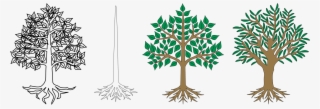 Arbolitos Png #9550814