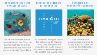 Invitacion Editable Latest-18 - Coral Reef #9551050